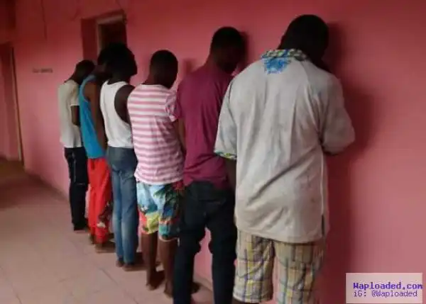 Photo: Six homosexuals arrested in Edo